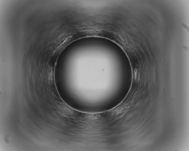 X0000097291251200802151407