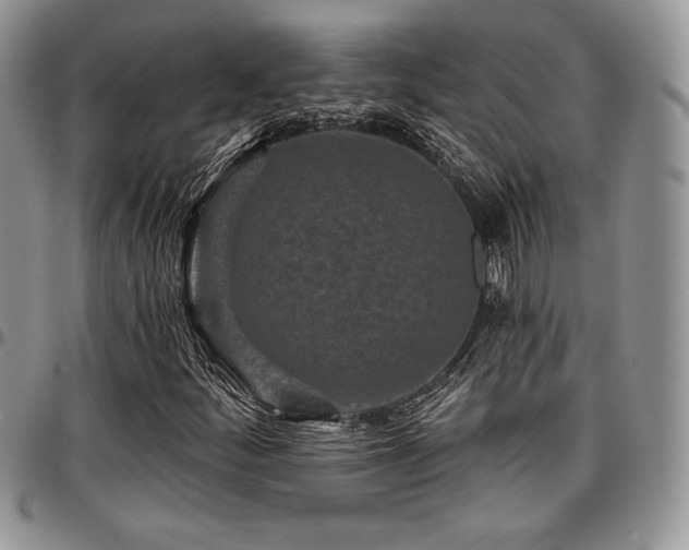 X0000097291252200802151407