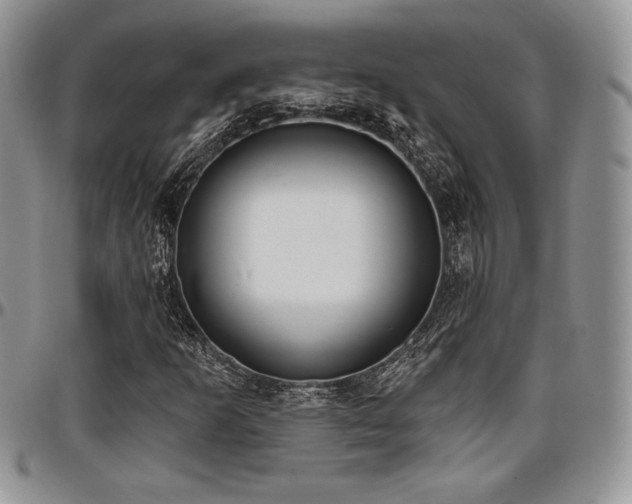 X0000097291253200802151407