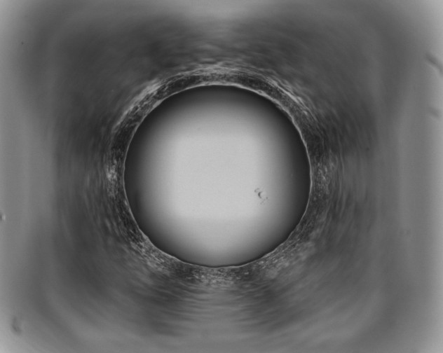 X0000097291254200802151407