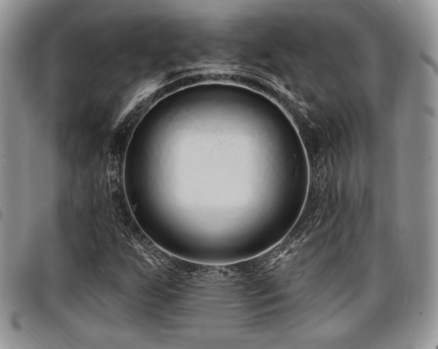 X0000097291255200802151406