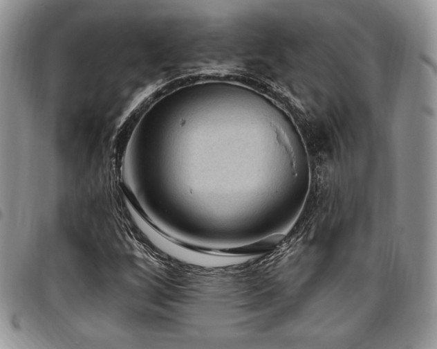 X0000097291256200802151406