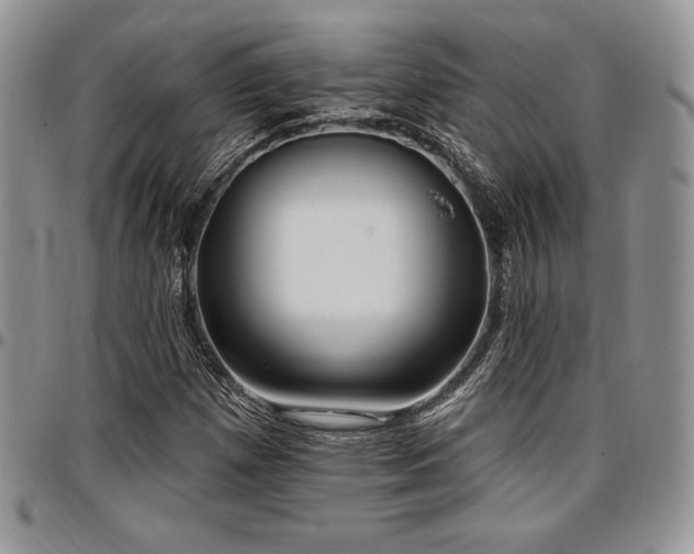X0000097291257200802151406