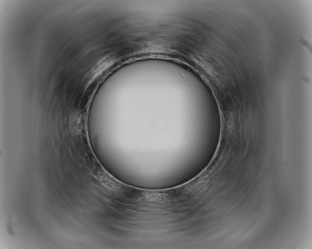 X0000097291258200802151406