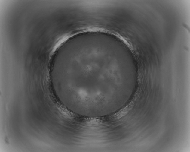 X0000097291263200802151406