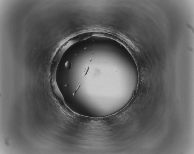 X0000097291264200802151406