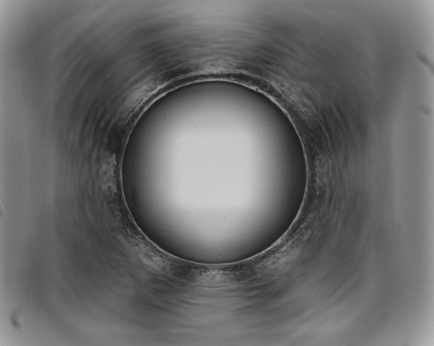 X0000097291265200802151406