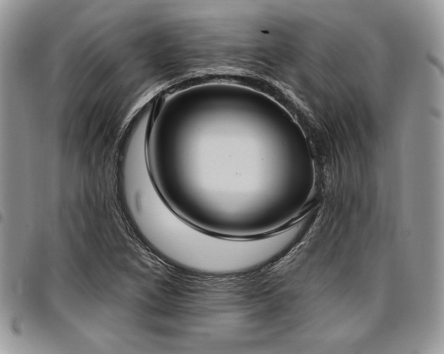 X0000097291266200802151406