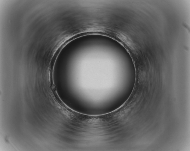 X0000097291268200802151406