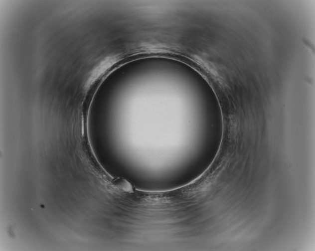 X0000097291269200802151406