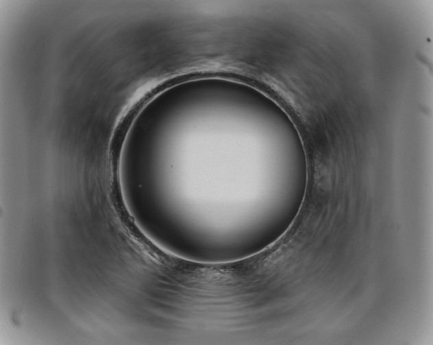 X0000097291270200802151406