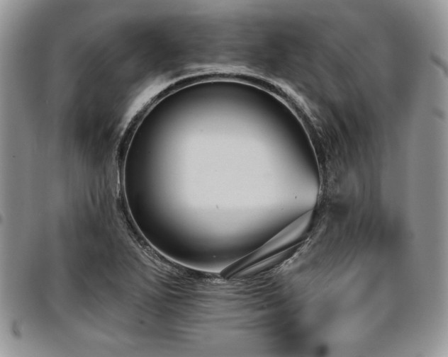 X0000097291271200802151406