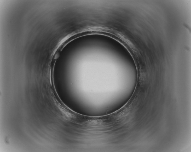 X0000097291272200802151406