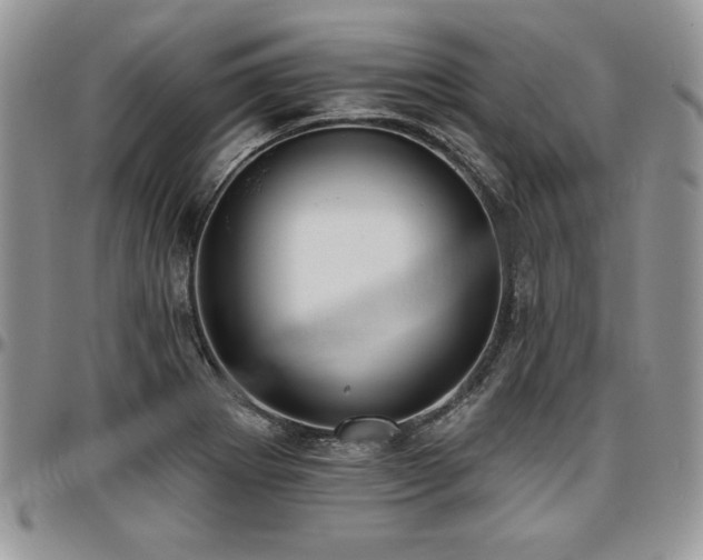 X0000097291273200802151406