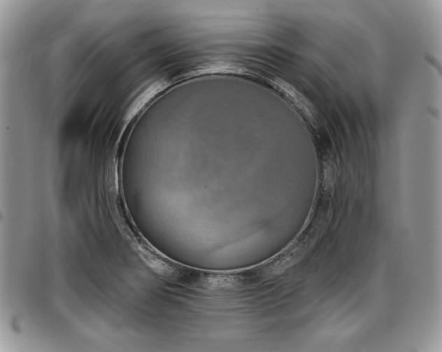 X0000097291274200802151406