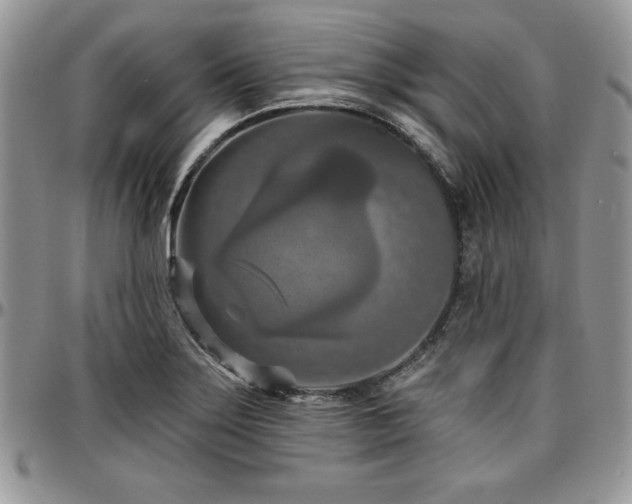 X0000097291275200802151406