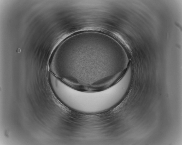 X0000097291276200802151406