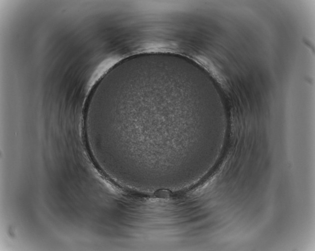X0000097291277200802151406