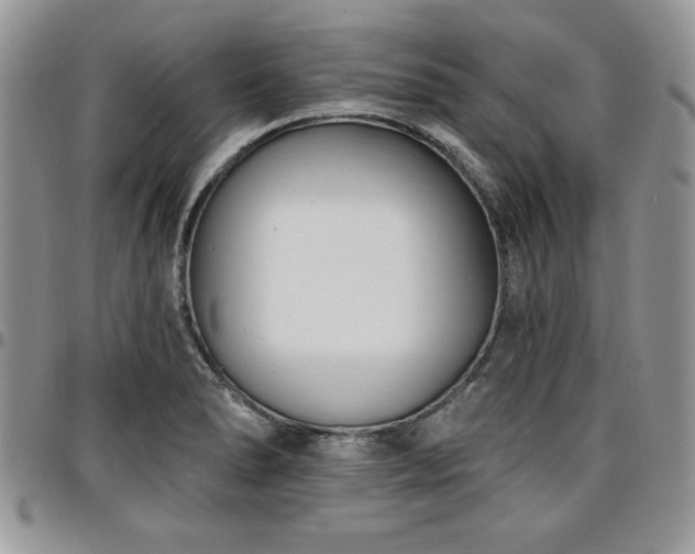X0000097291278200802151406