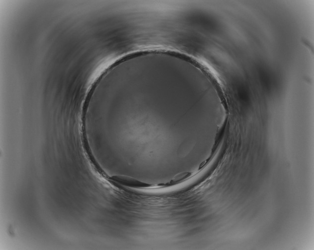 X0000097291279200802151406