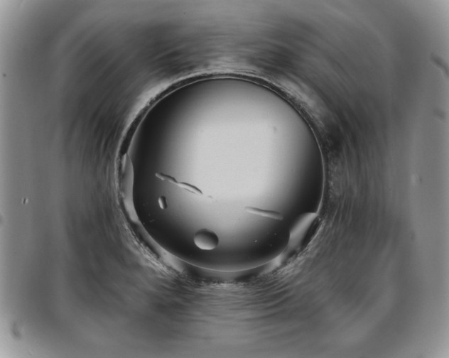 X0000097291280200802151406