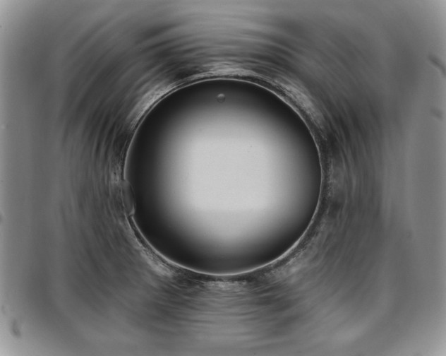 X0000097291281200802151406
