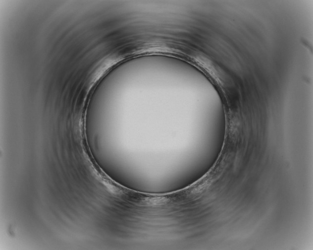 X0000097291282200802151406