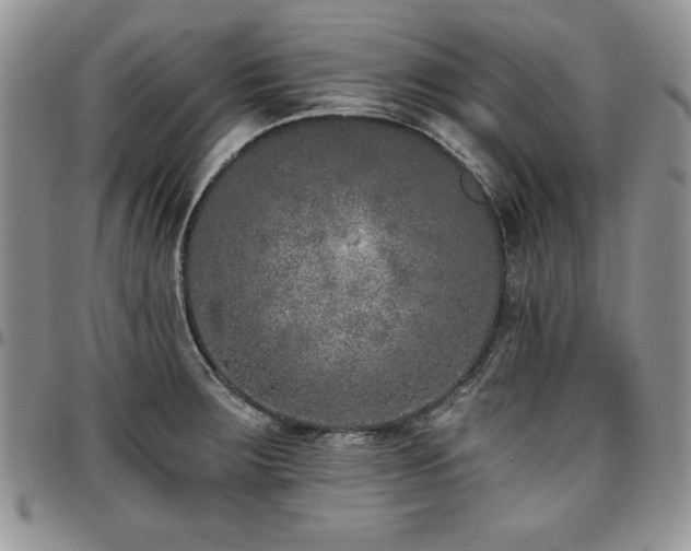 X0000097291283200802151406