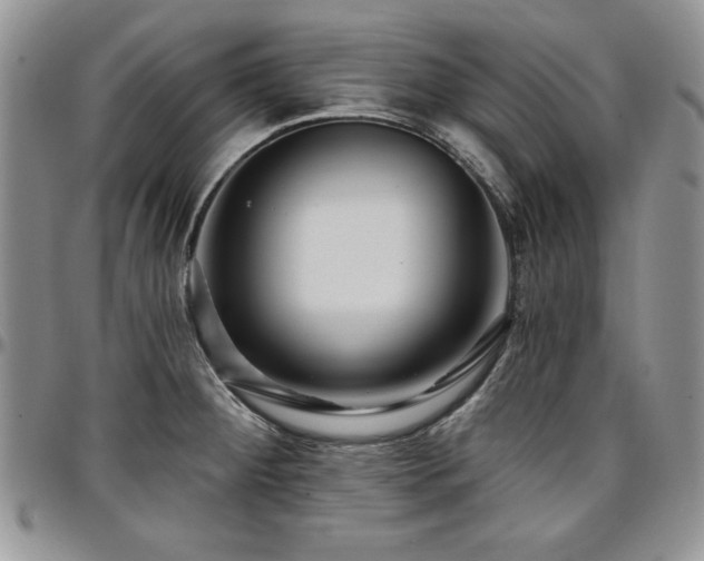 X0000097291284200802151406