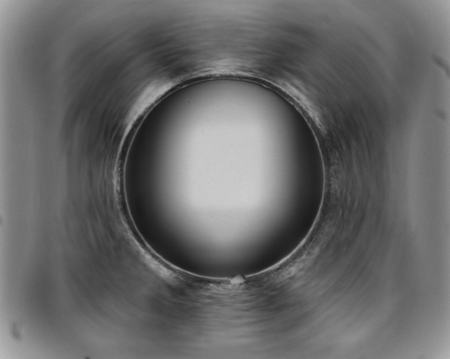 X0000097291285200802151406