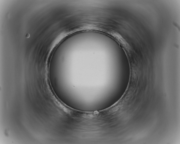 X0000097291286200802151406