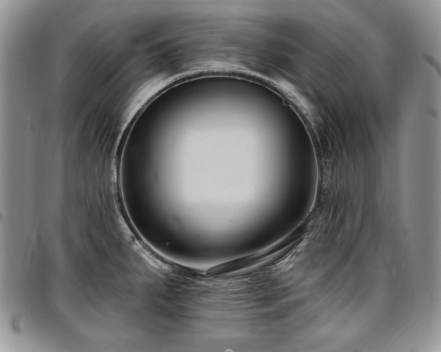 X0000097291287200802151406