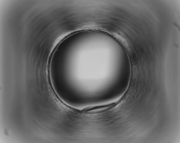 X0000097291288200802151406