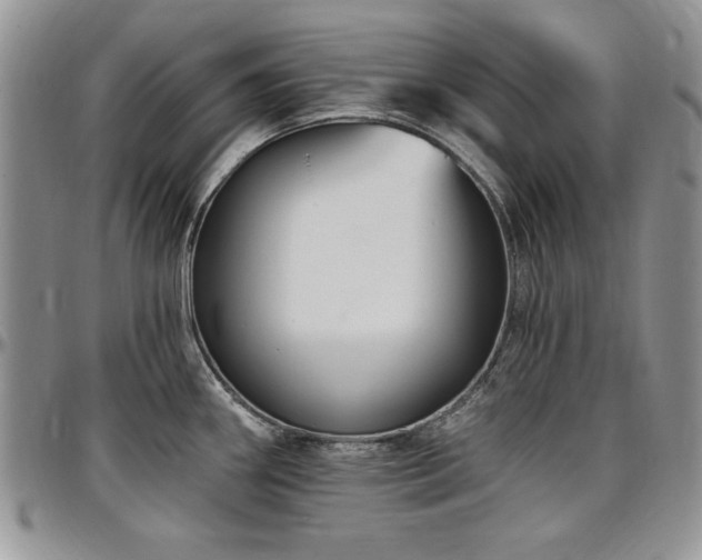 X0000097291290200802151406