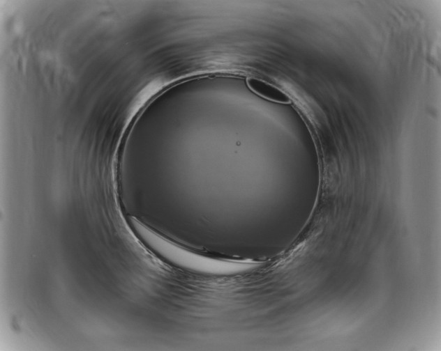 X0000097291291200802151406