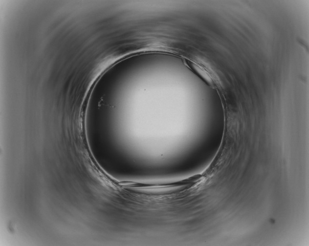 X0000097291292200802151406