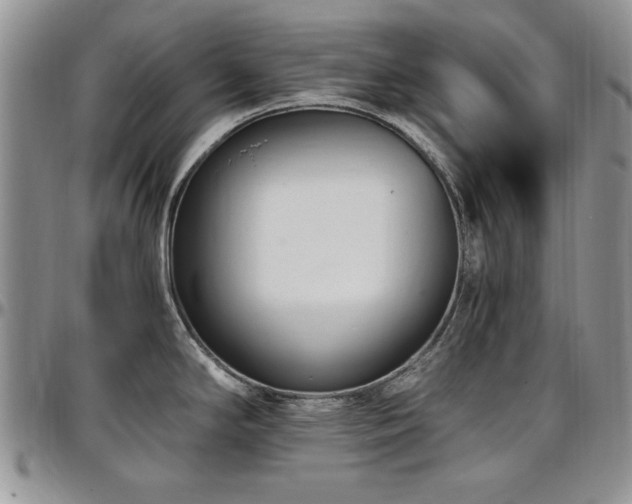 X0000097291294200802151406