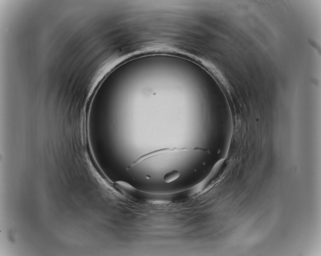 X0000097291295200802151406
