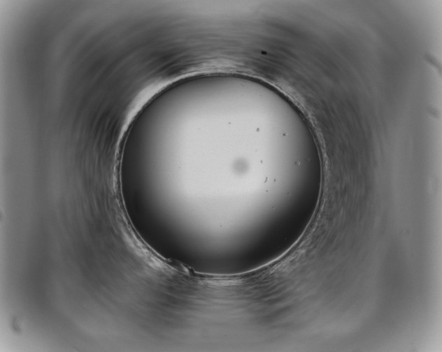 X0000097291296200802151406