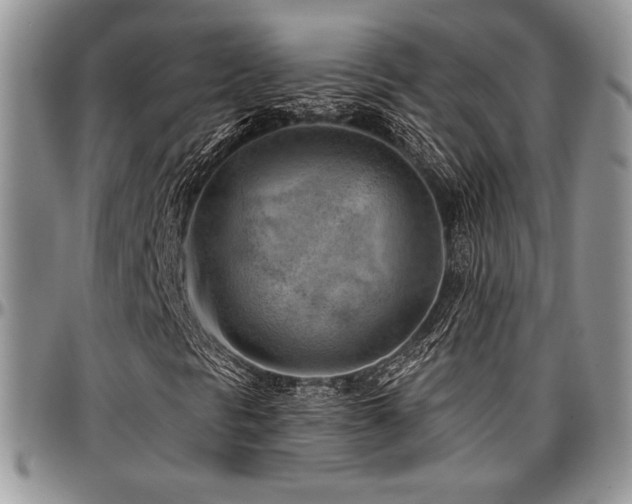 X0000097291297200802151405