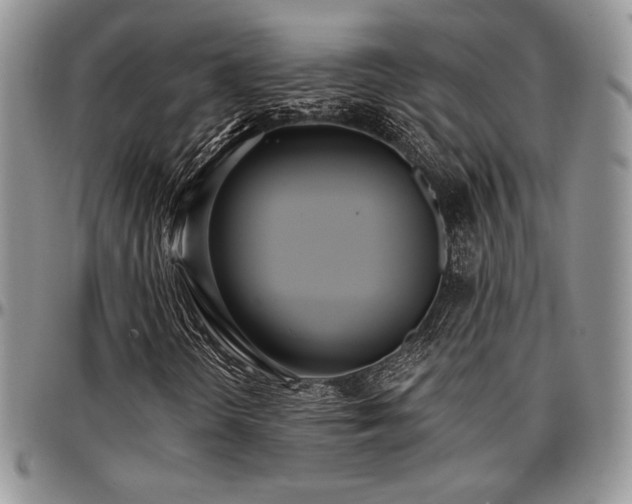 X0000097291298200802151405