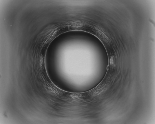 X0000097291299200802151405