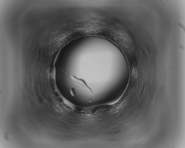 X0000097291300200802151405