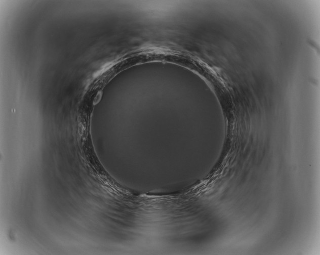 X0000097291303200802151405