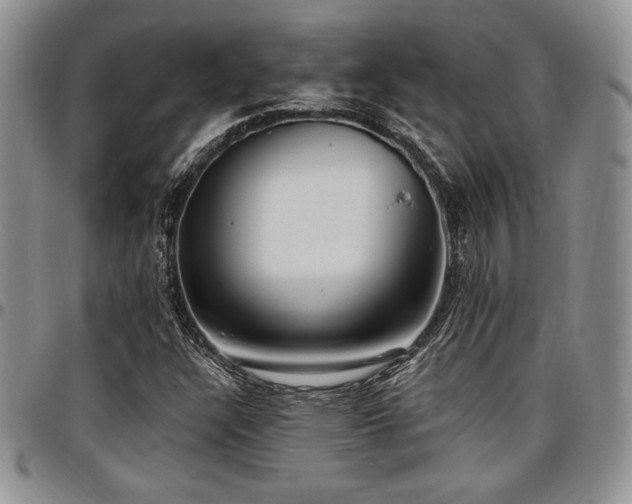 X0000097291304200802151405