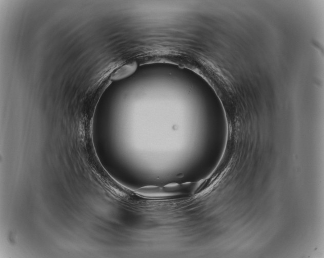 X0000097291305200802151405