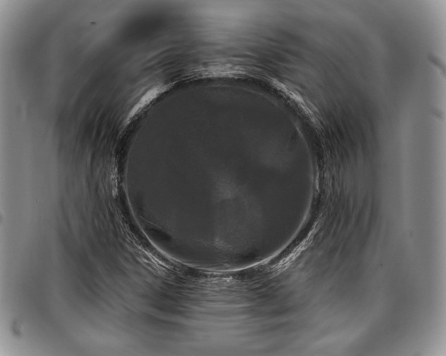 X0000097291306200802151405