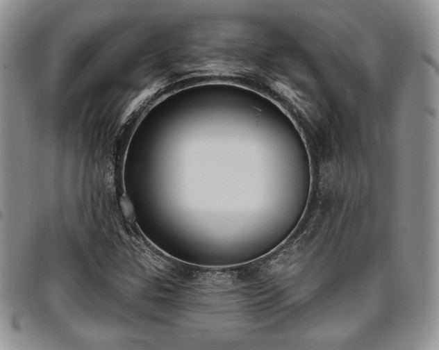 X0000097291307200802151405
