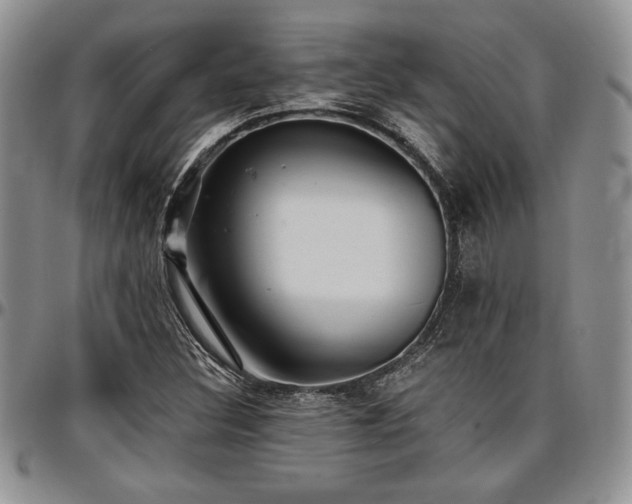 X0000097291308200802151405