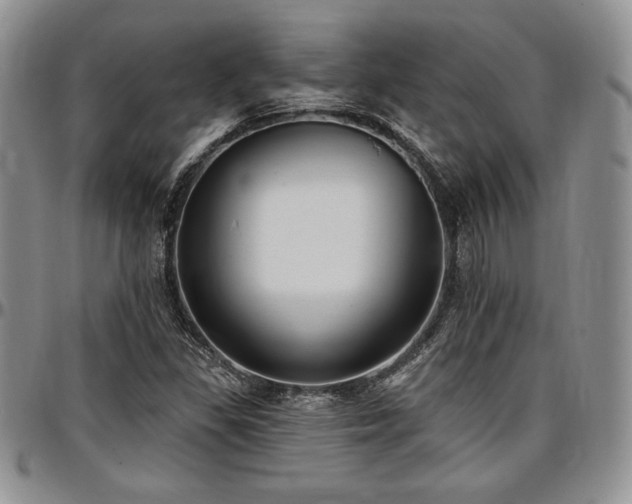 X0000097291309200802151405